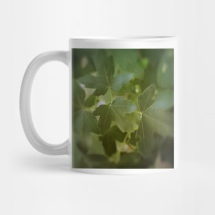 Maple Tree Green Leaves Mug